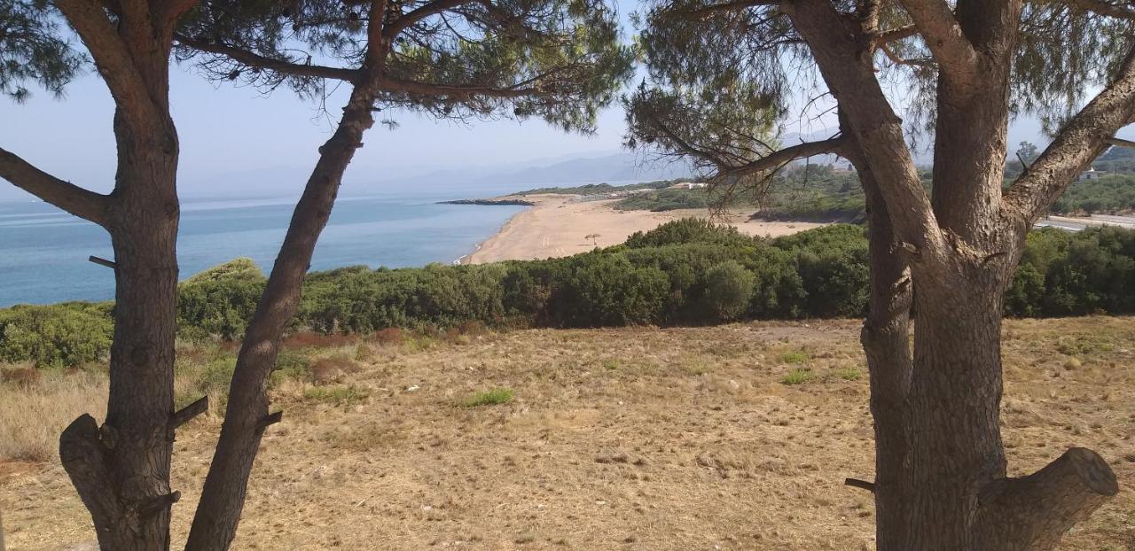 Tzanetos Seaside Villa Kyparissia Exterior foto