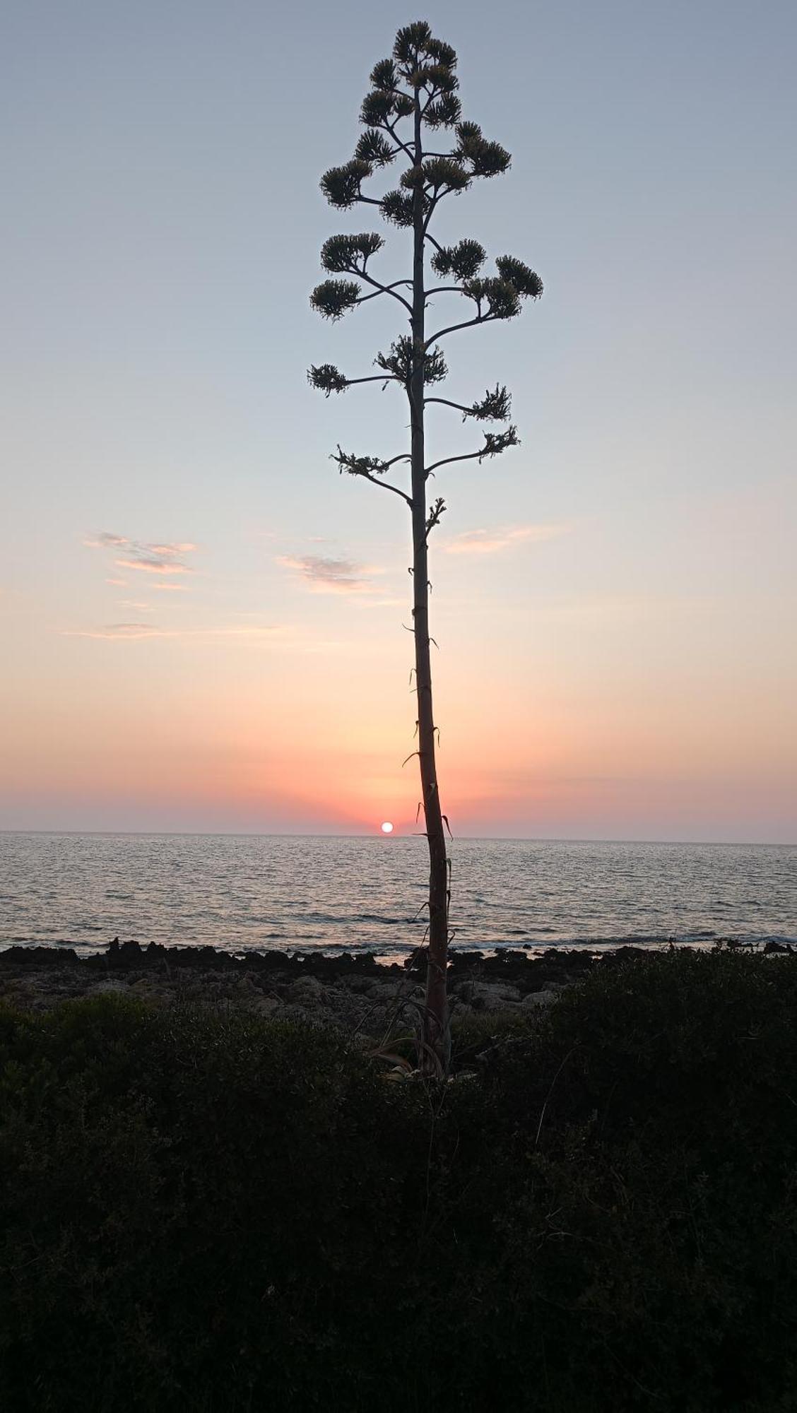 Tzanetos Seaside Villa Kyparissia Exterior foto